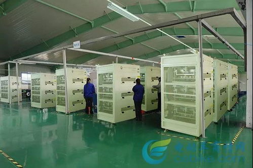 獨具匠芯，馳名天下 芯馳光電科技如何鑄就行業領先之路